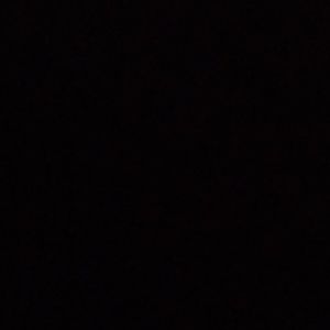 Meet your Posher, Lila